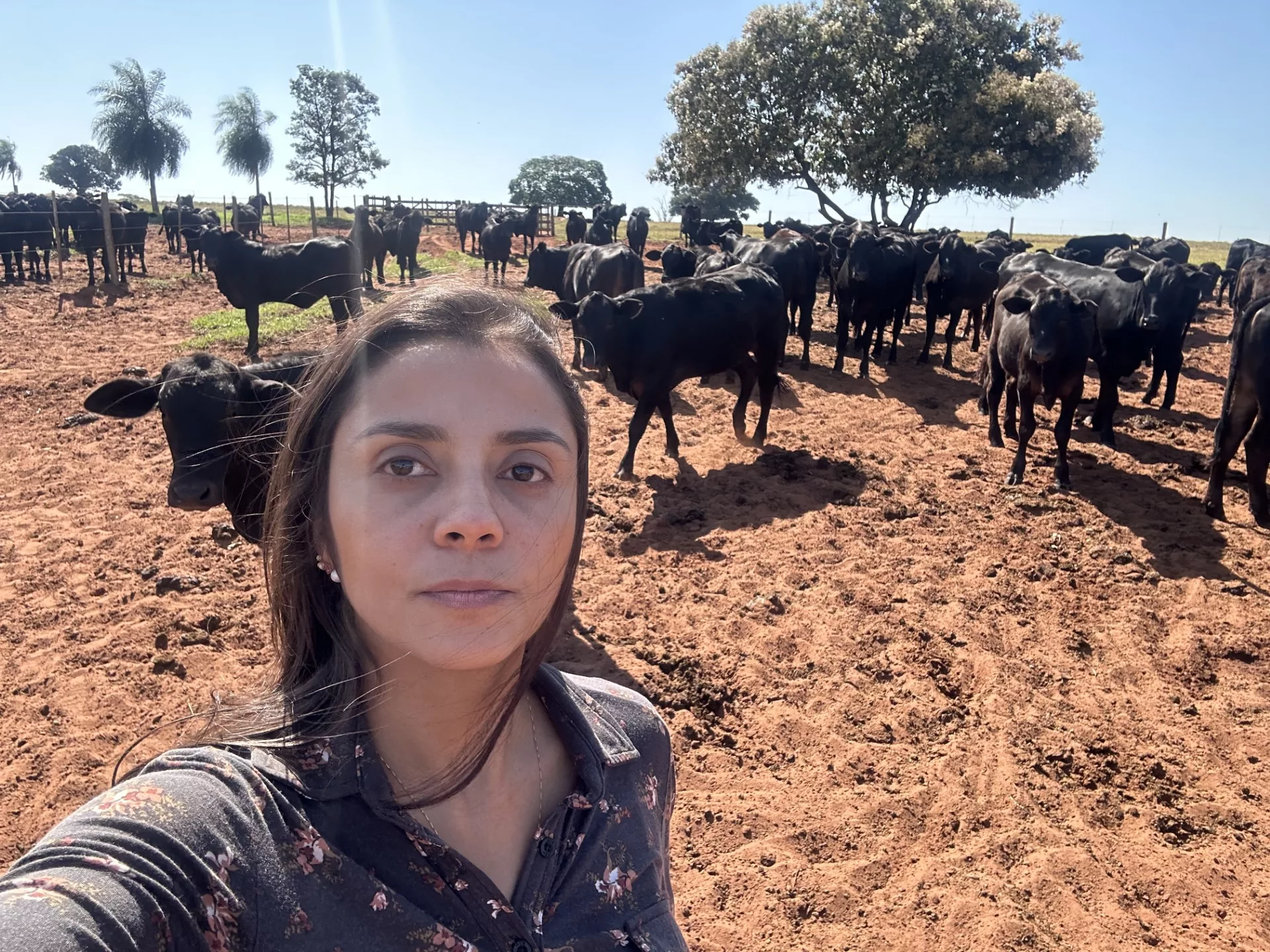 Patrícia Molina: A Veterinária que Lidera um Projeto Pecuário Sustentável e Inovador