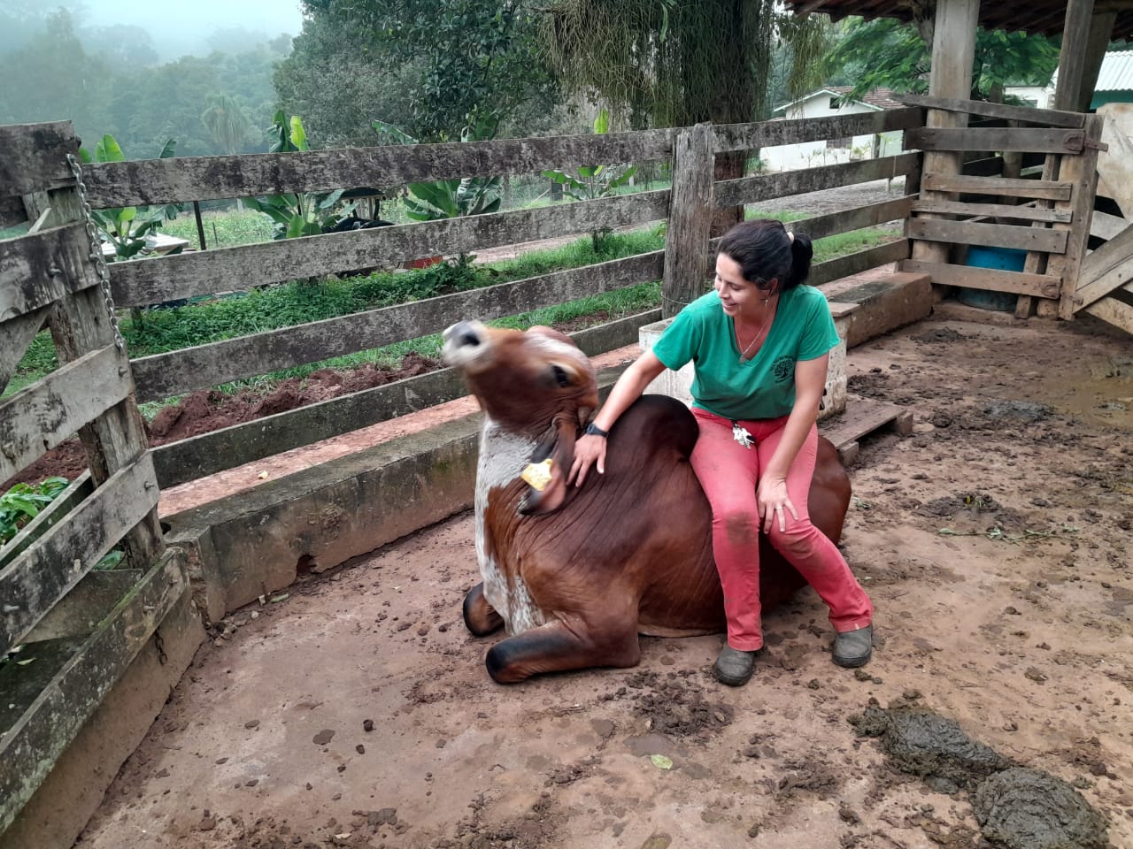 Do sonho à realidade: a determinação de uma pecuarista de sucesso