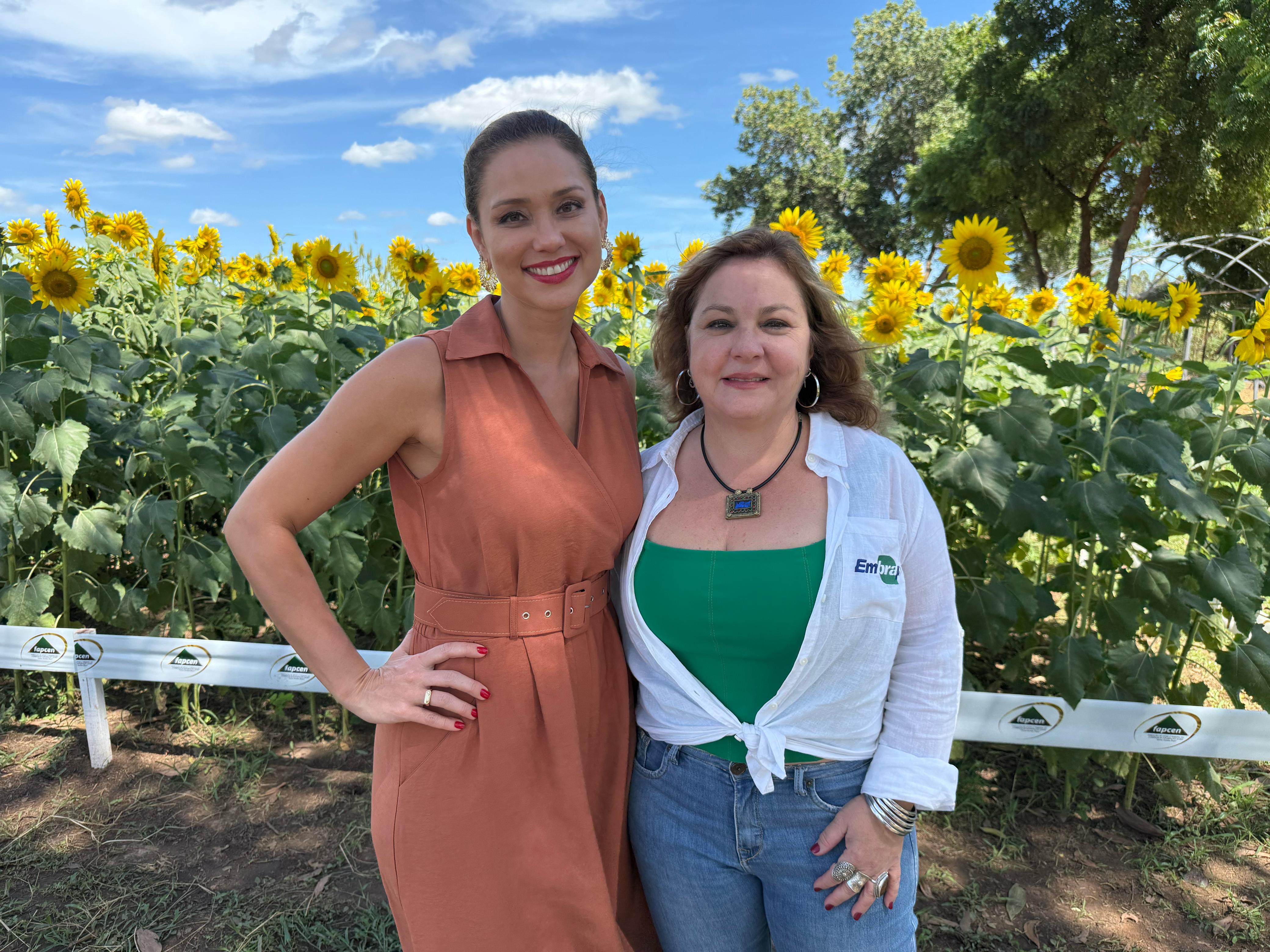 Agricultura regenerativa e de baixo carbono: os caminhos para uma produção tropical sustentável