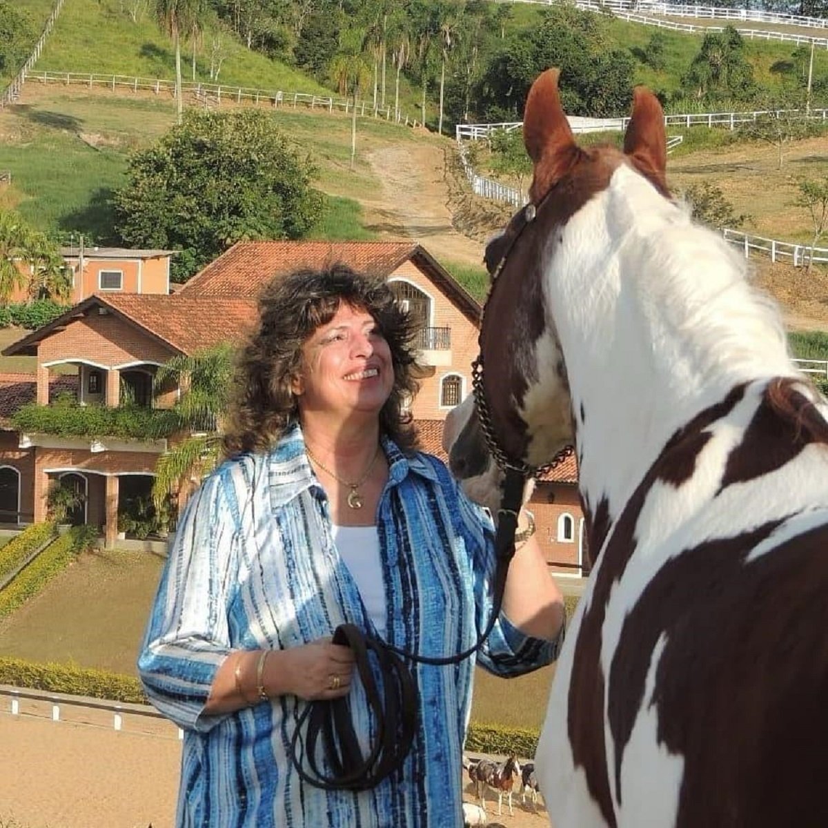 Paixão, legado e protagonismo: Marisa Iório dá visibilidade ao cavalo Mangalarga na equinocultura brasileira
