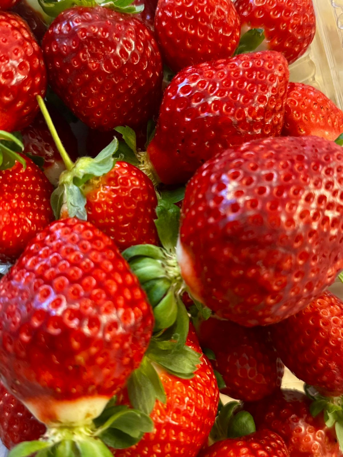 O protagonismo do morango: do campo gourmet à febre do “morango do amor”