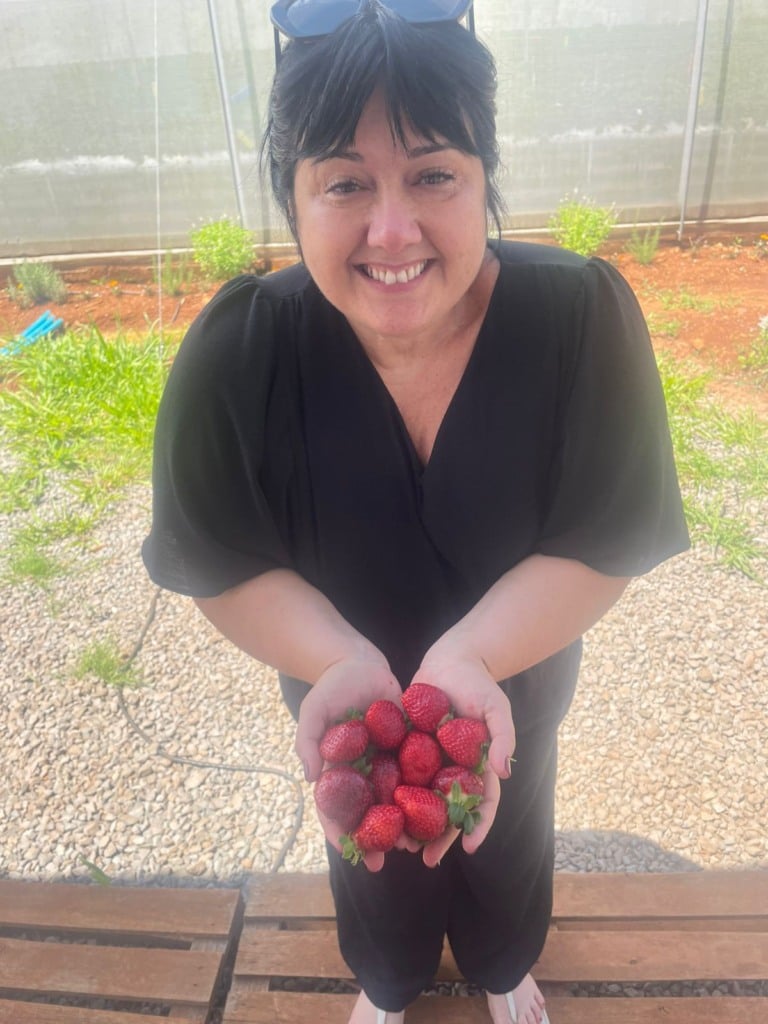 O protagonismo do morango: do campo gourmet à febre do “morango do amor”