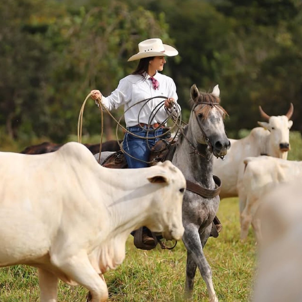 Jovem pecuarista mostra força feminina no agro