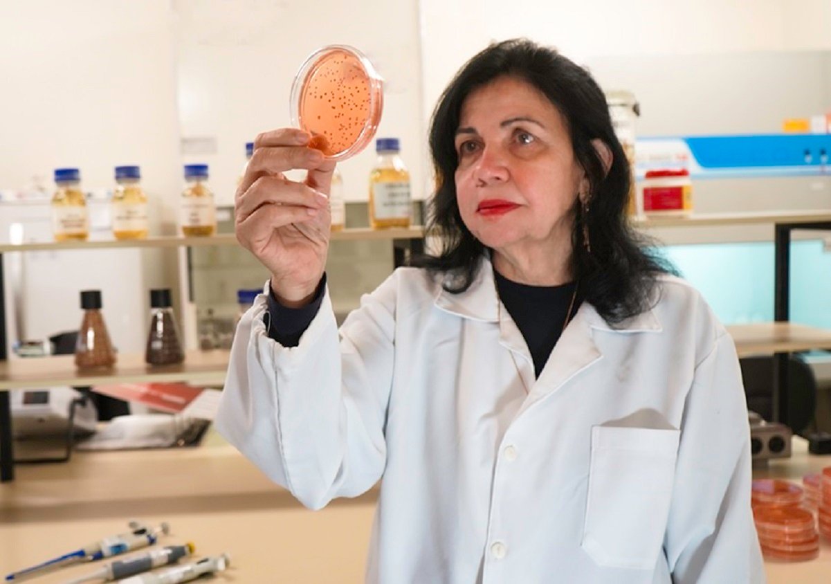 A revolução dos bioinsumos no agronegócio: a trajetória inspiradora de Mariangela Hungria A revolução dos bioinsumos no agronegócio: a trajetória inspiradora de Mariangela Hungria