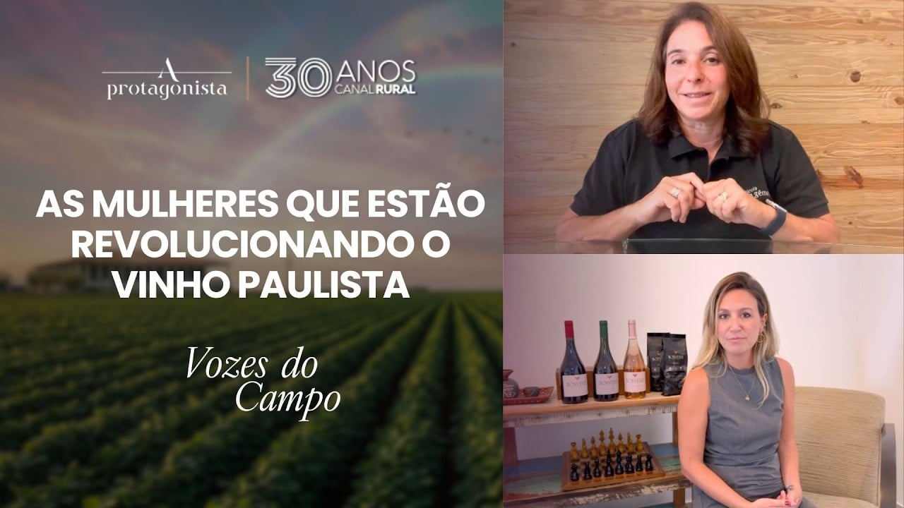 Mulheres lideram transformação das rotas do vinho em São Paulo